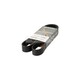 MULTIRIEM  8PK1215HD MOTORKOELING